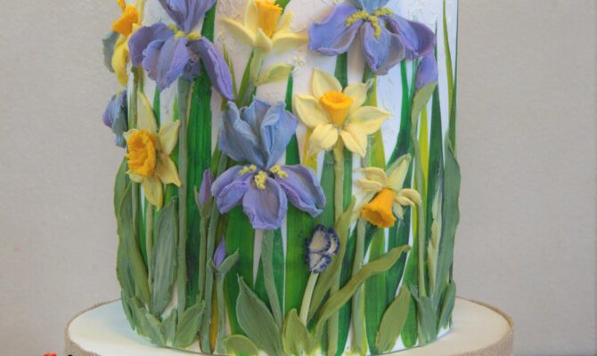 Roma – Corso Avanzato Iris