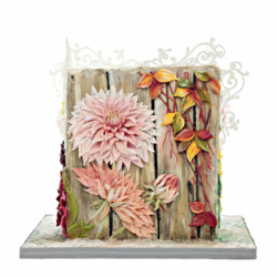 Materika - Claudia Prati, cake designer
