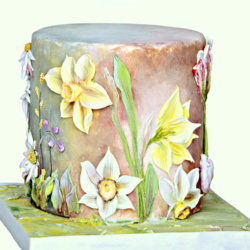 Materika - Claudia Prati, cake designer